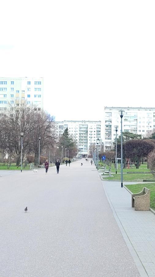 Apartament Zabcia - Przy Skm Zabianka Kolo Sopotu Gdańsk Buitenkant foto